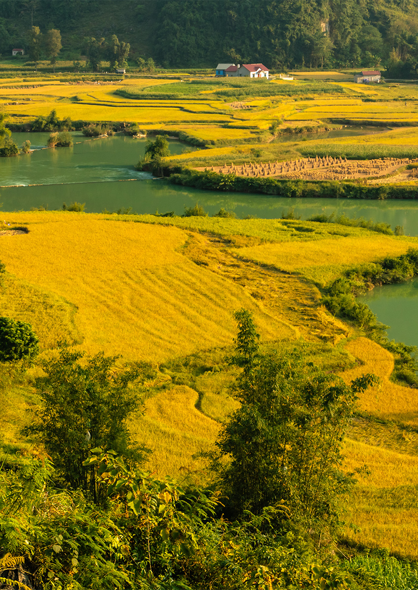 https://beta2.familytravel.com.vn/tour-cao-bang