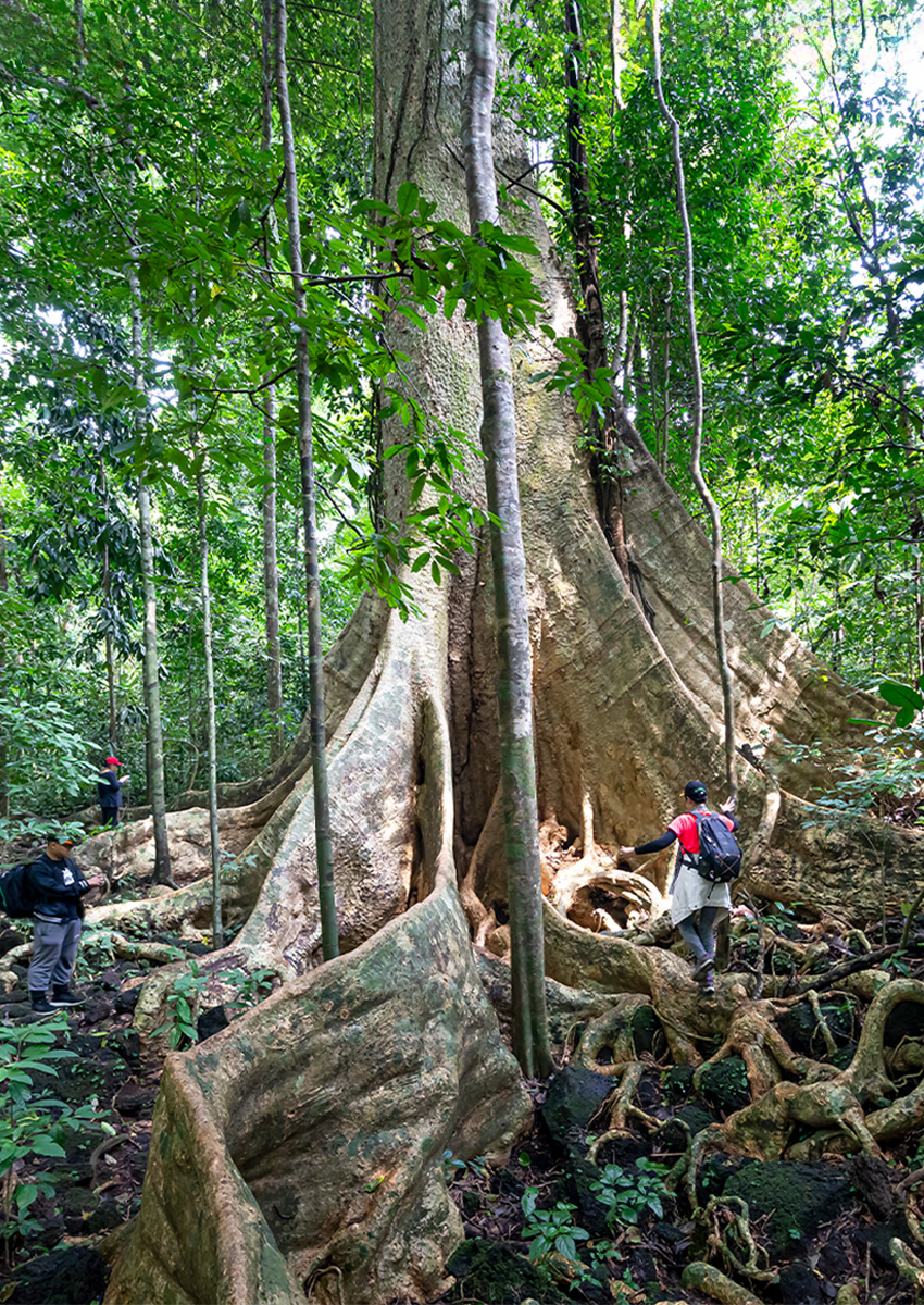https://beta2.familytravel.com.vn/tour-dong-nai