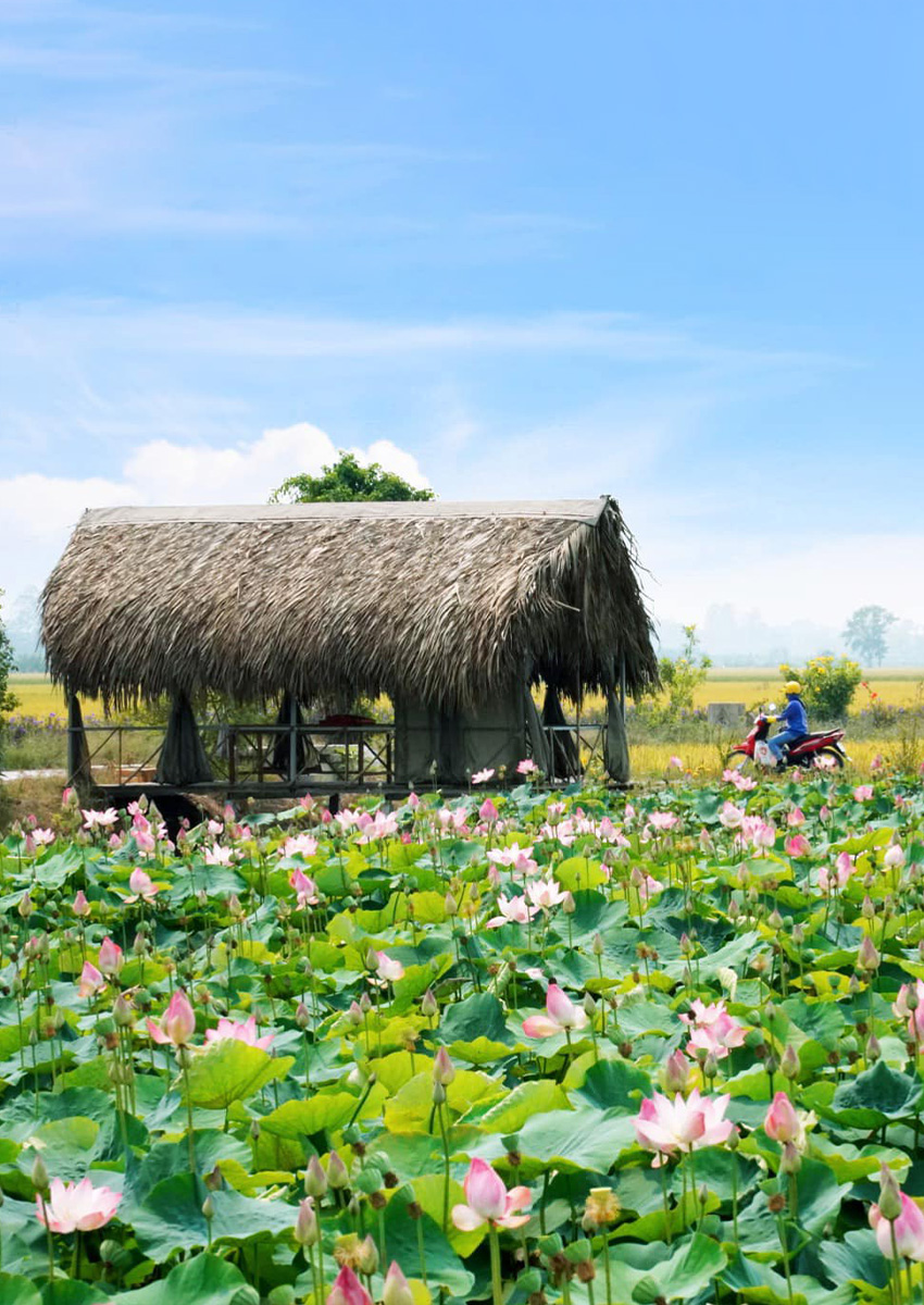 https://beta2.familytravel.com.vn/tour-dong-thap