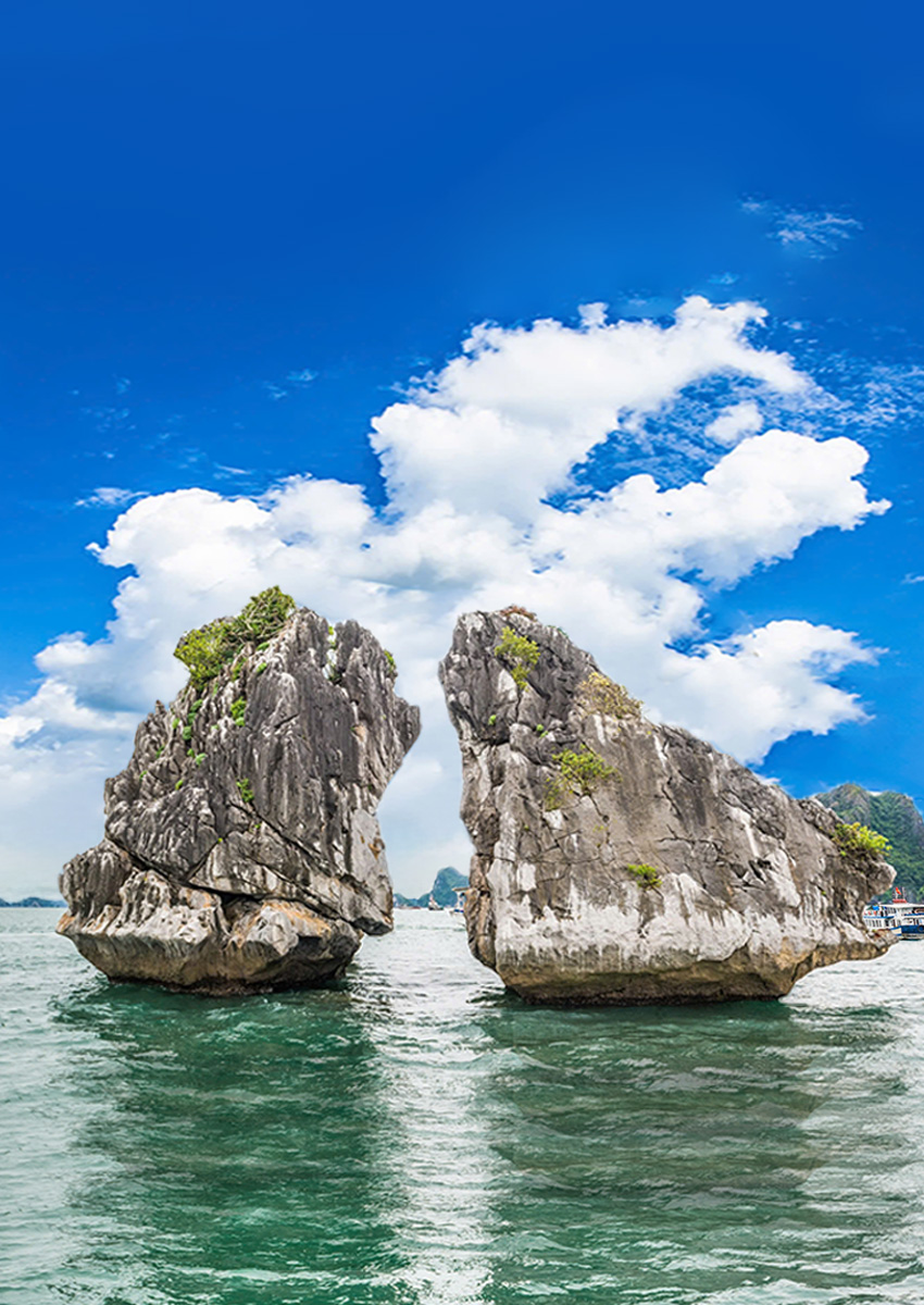 https://beta2.familytravel.com.vn/tour-ha-long