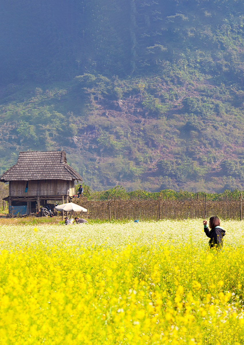 https://beta2.familytravel.com.vn/tour-mai-chau-moc-chau