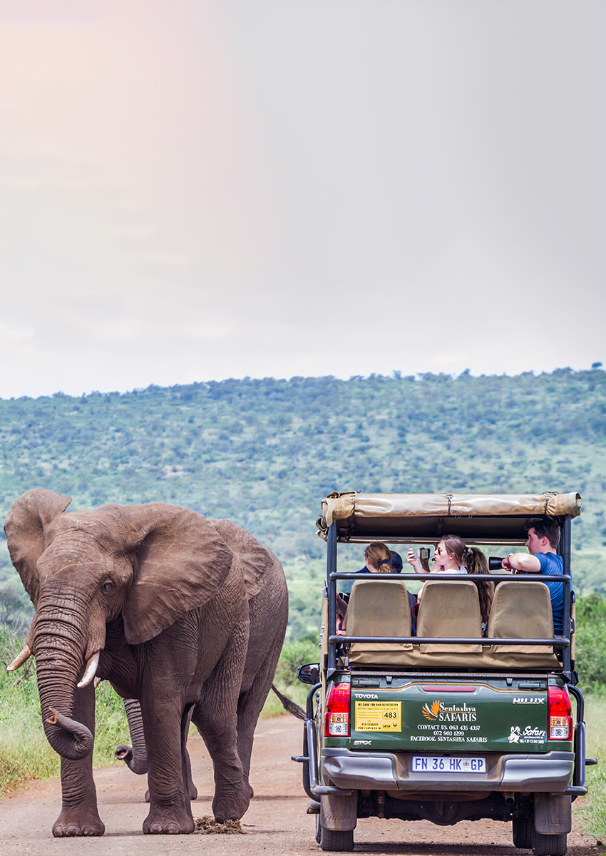 https://beta2.familytravel.com.vn/tour-nam-phi