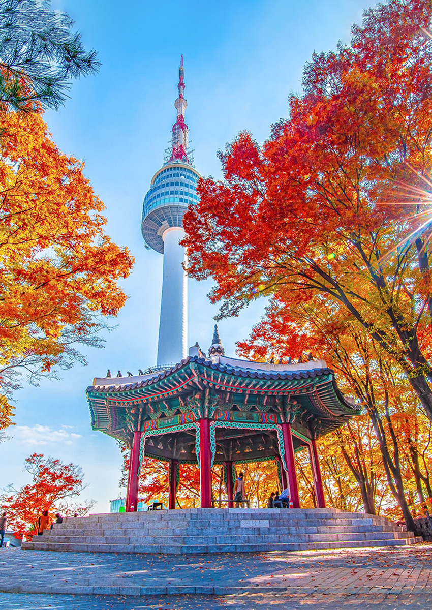 https://beta2.familytravel.com.vn/tour-han-quoc
