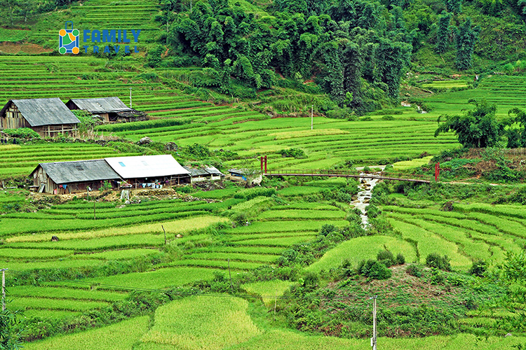 Tour Sapa - Moana - Cát Cát - Fansipan 3 Ngày